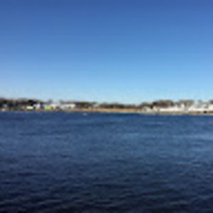 Meet your Posher, Shay